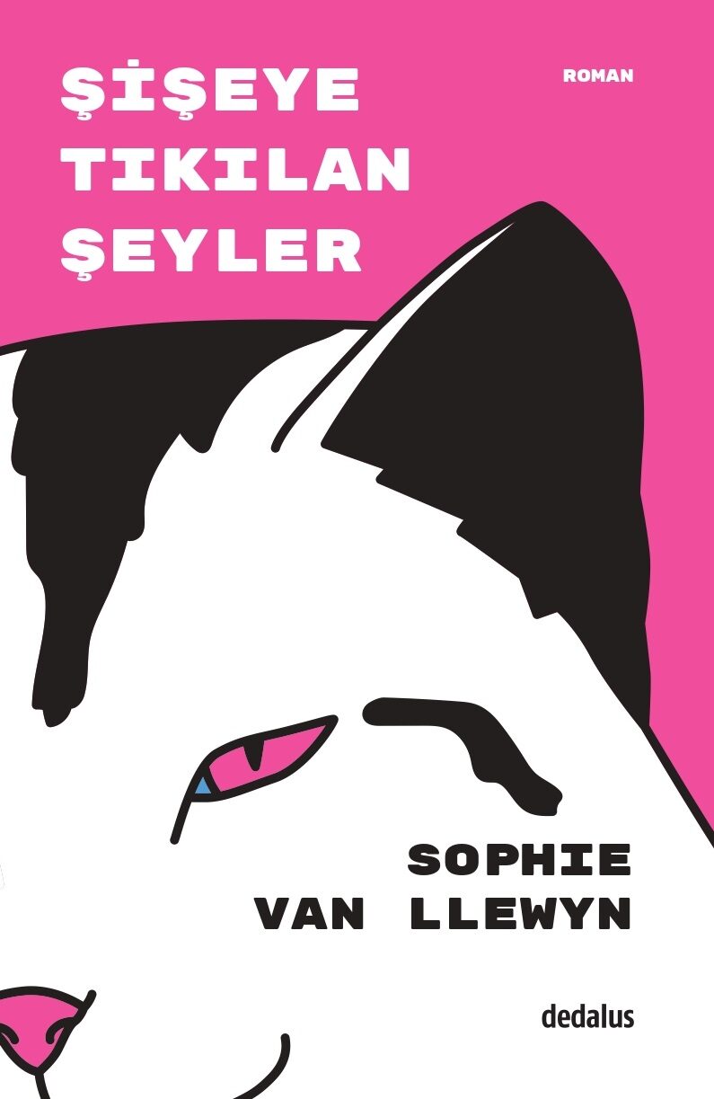 Şişeye Tıkılan Şeyler